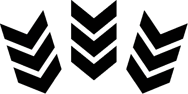 flechas negras modulo 1